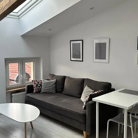 Апартаменти Stayinpoznan, Z Widokiem Na Ratusz, Wifi, Klimatyzacja, 4 Pietro - Brak Windy
